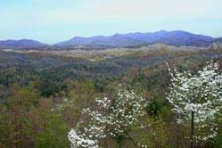 scenic view yellow mountain